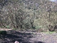 Monti_Rossi_Nicolosi - 20110317 111.jpg